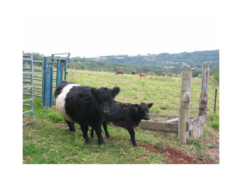 119. Graham Road, Marom Creek NSW 2480