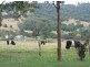 119. Graham Road, Marom Creek NSW 2480