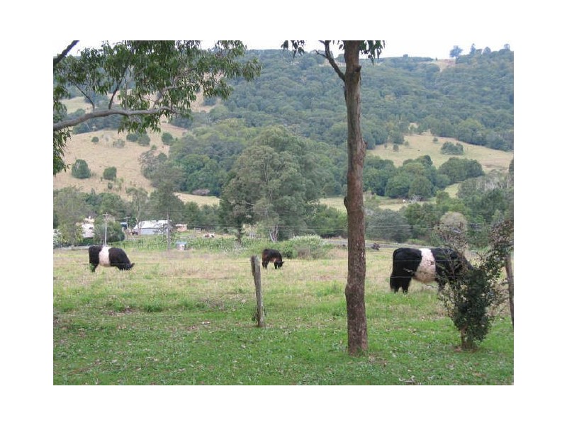 119. Graham Road, Marom Creek NSW 2480