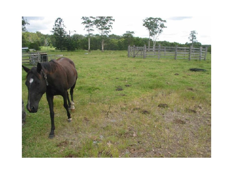 512 Bagotville Road, Meerschaum Vale NSW 2477
