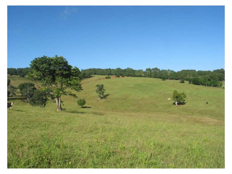 Lot 21/645 Houghlahans Creek Road, Pearces Creek NSW 2477