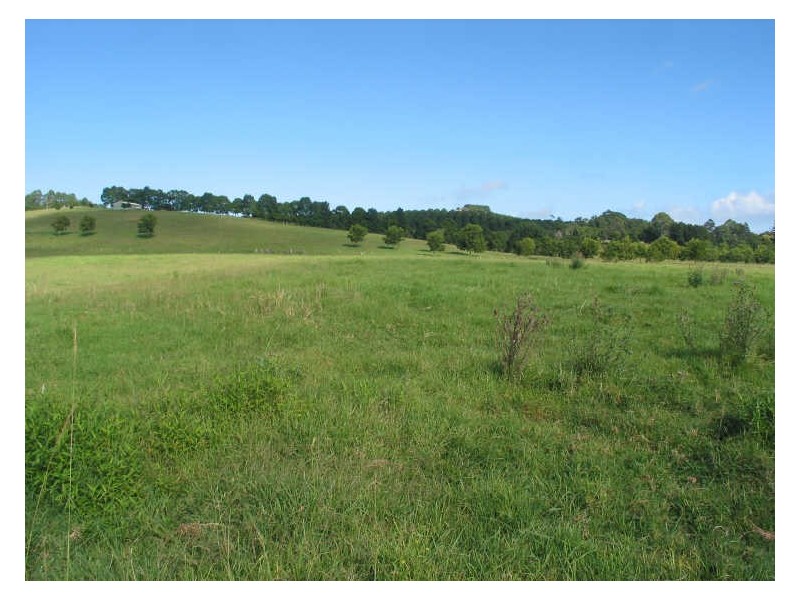 Lot 21/645 Houghlahans Creek Road, Pearces Creek NSW 2477