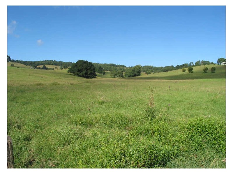 Lot 21/645 Houghlahans Creek Road, Pearces Creek NSW 2477