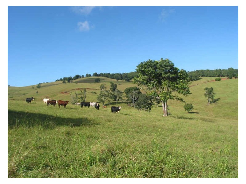 Lot 21/645 Houghlahans Creek Road, Pearces Creek NSW 2477