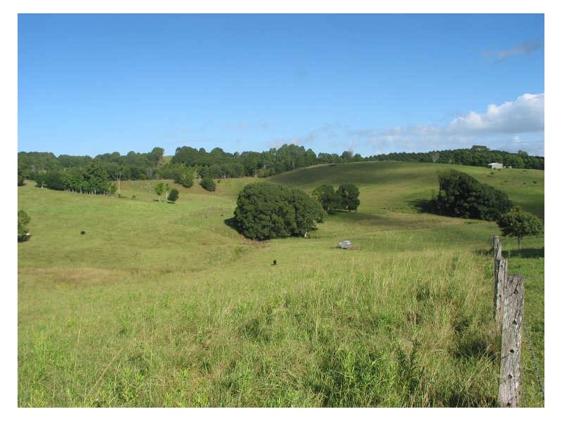 Lot 21/645 Houghlahans Creek Road, Pearces Creek NSW 2477