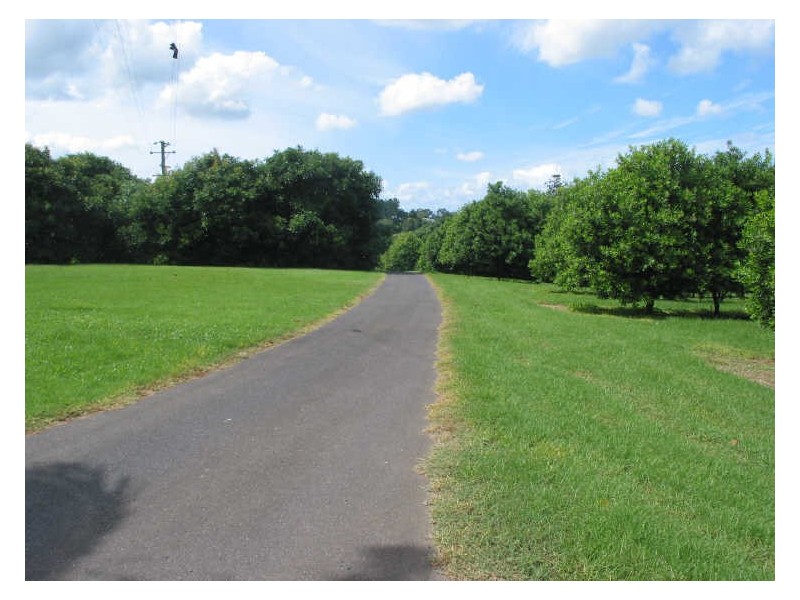 29. Shaws Lane, Tuckombil NSW 2477