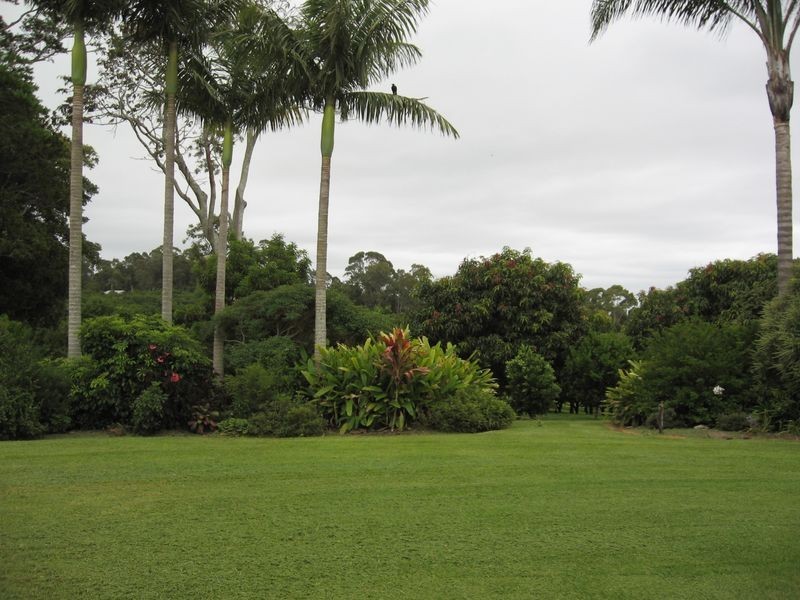 498. Cowlong Road, Mcleans Ridges NSW 2480
