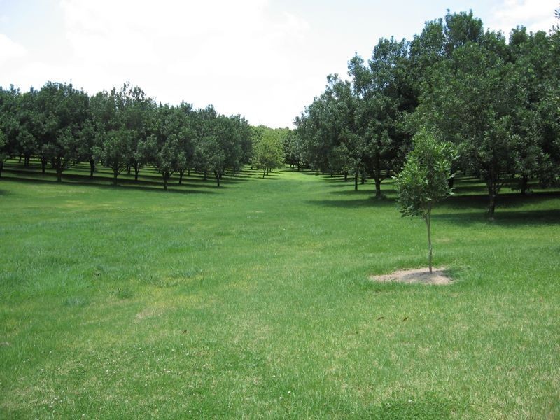 498. Cowlong Road, Mcleans Ridges NSW 2480