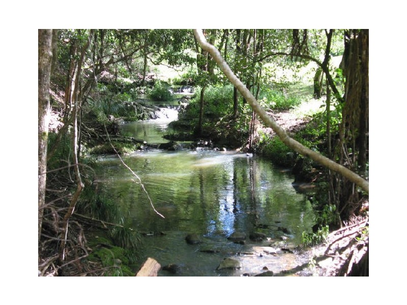 134. Dillons Lane, Alstonville NSW 2477