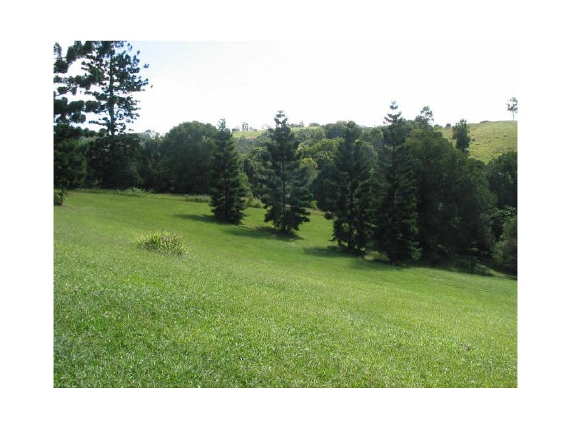 134. Dillons Lane, Alstonville NSW 2477