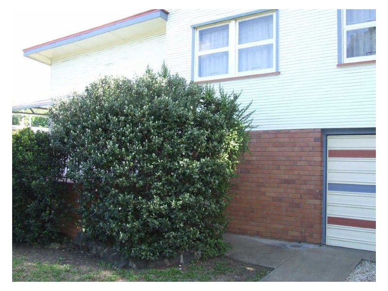 143 Dalley Street, East Lismore NSW 2480