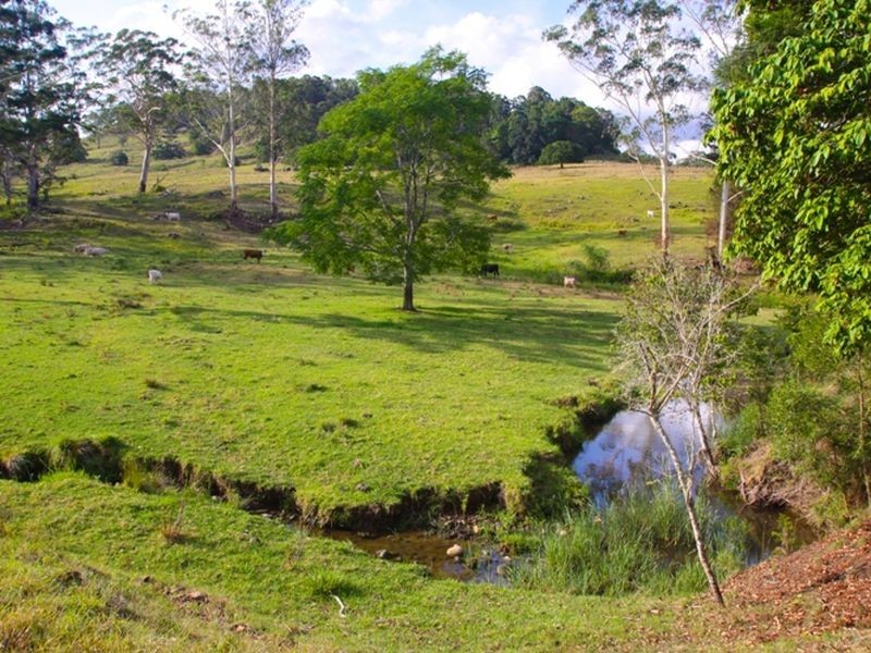 1. Cawongla Road, Rock Valley NSW 2480