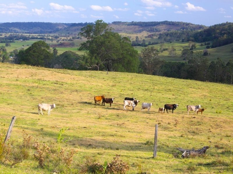 1. Cawongla Road, Rock Valley NSW 2480