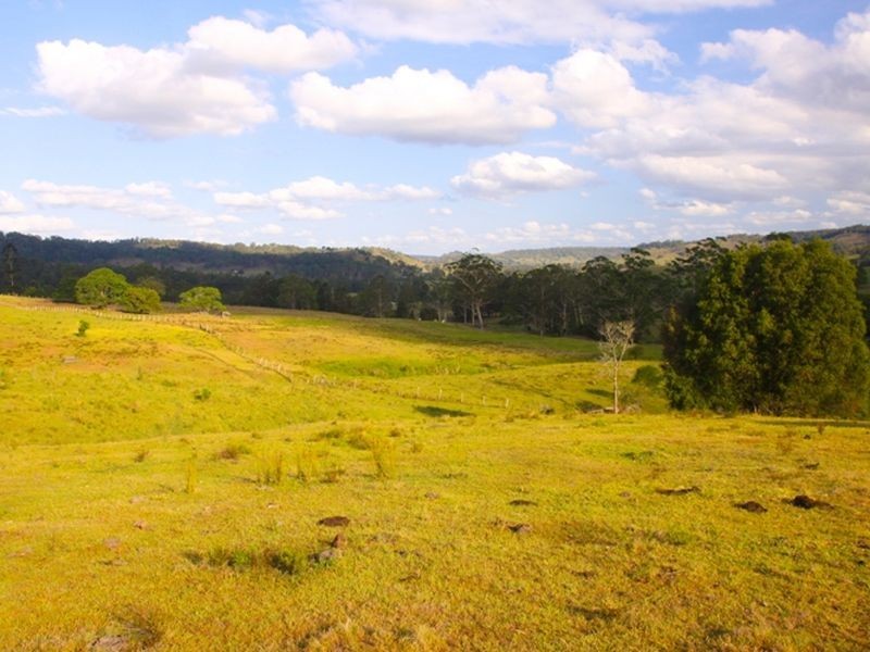 1. Cawongla Road, Rock Valley NSW 2480