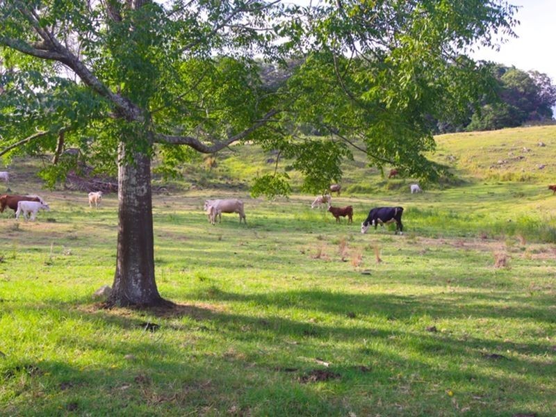 1. Cawongla Road, Rock Valley NSW 2480