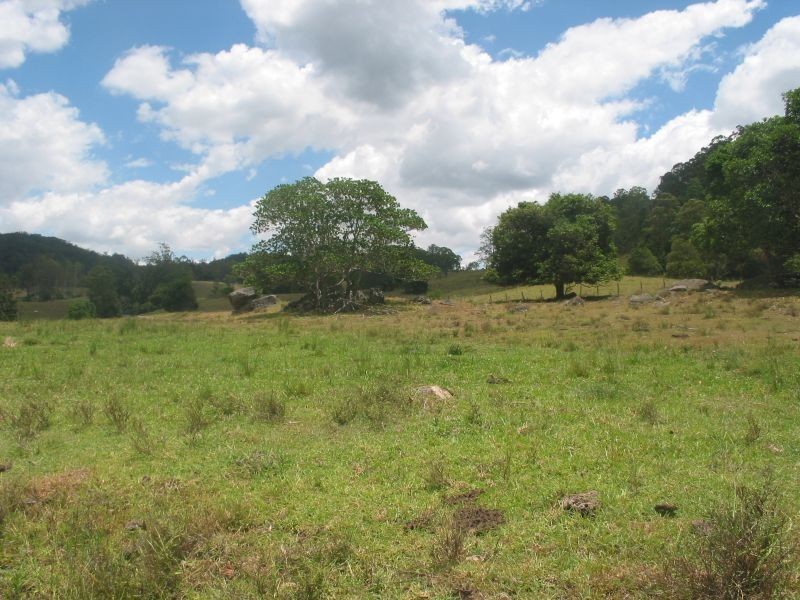 1. Cawongla Road, Rock Valley NSW 2480