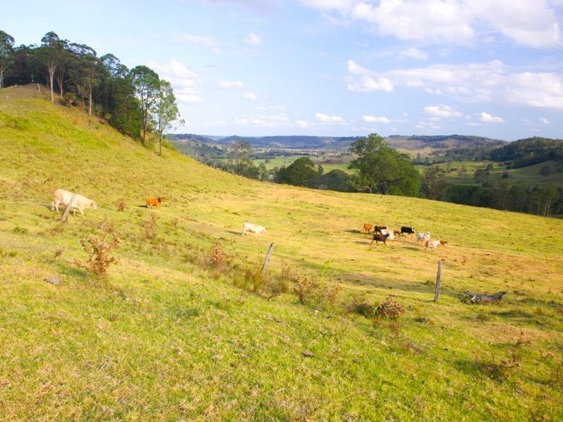 1. Cawongla Road, Rock Valley NSW 2480