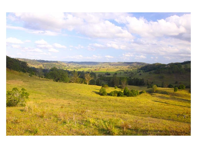 1 Cawongla Road, Rock Valley NSW 2480