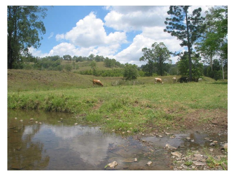 1 Cawongla Road, Rock Valley NSW 2480