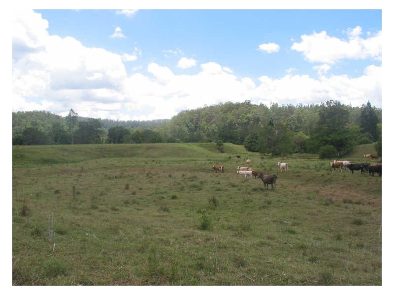 1 Cawongla Road, Rock Valley NSW 2480