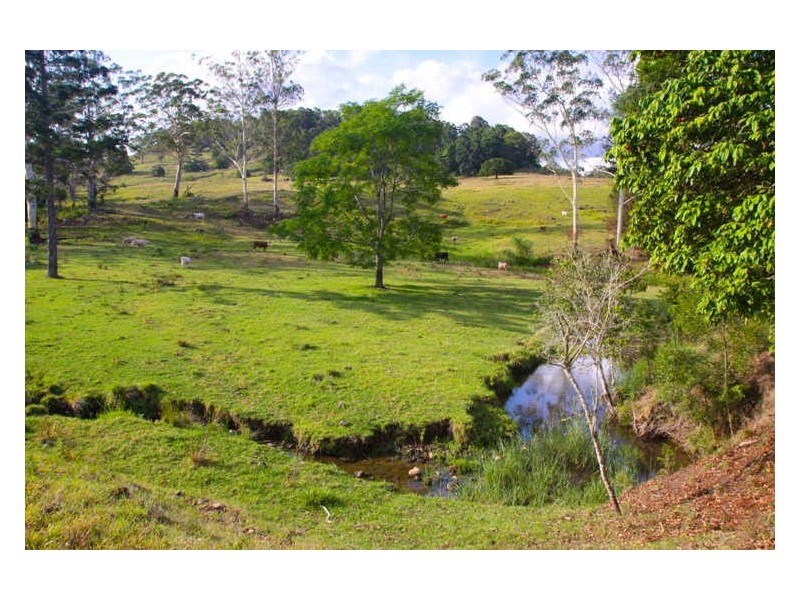 1 Cawongla Road, Rock Valley NSW 2480