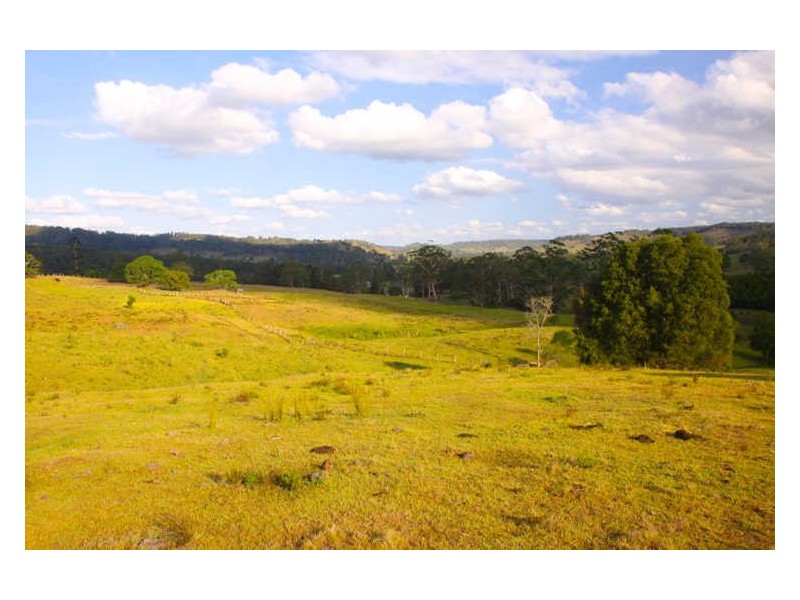 1 Cawongla Road, Rock Valley NSW 2480