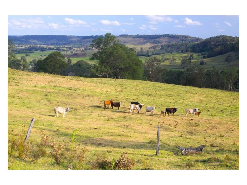 1 Cawongla Road, Rock Valley NSW 2480