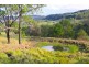 1 Cawongla Road, Rock Valley NSW 2480