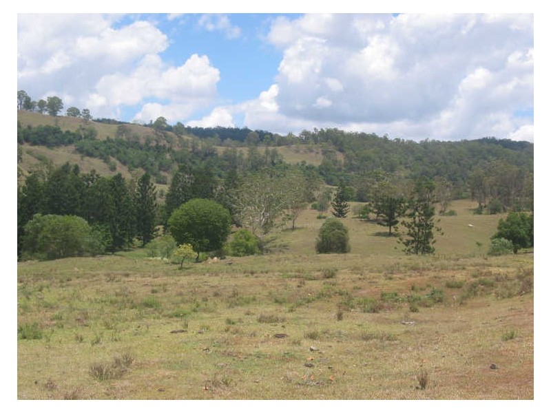 1 Cawongla Road, Rock Valley NSW 2480