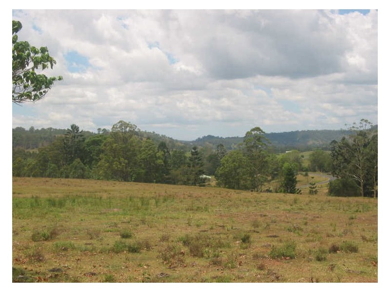 1 Cawongla Road, Rock Valley NSW 2480