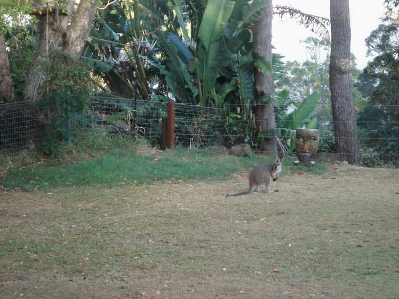 14 Spring Valley Drive, Goonellabah NSW 2480