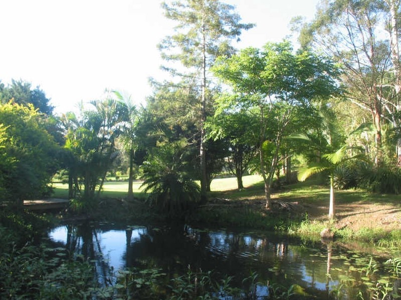 636. Marom Creek Road, Meerschaum Vale NSW 2477