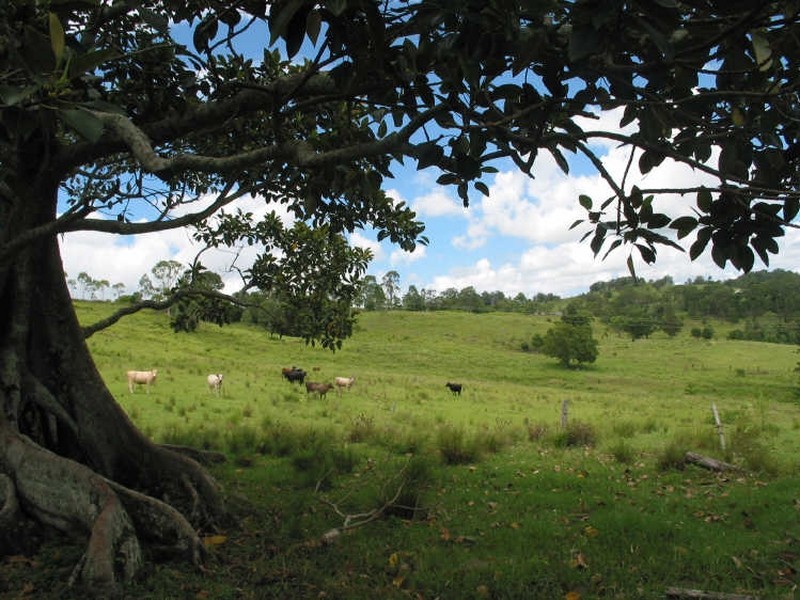 394. Skyline Road, Goonellabah NSW 2480