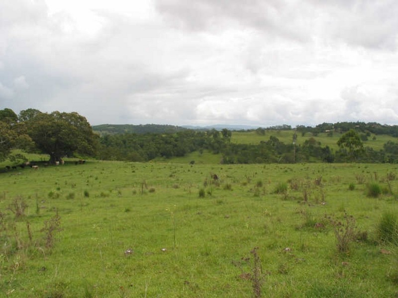 394. Skyline Road, Goonellabah NSW 2480