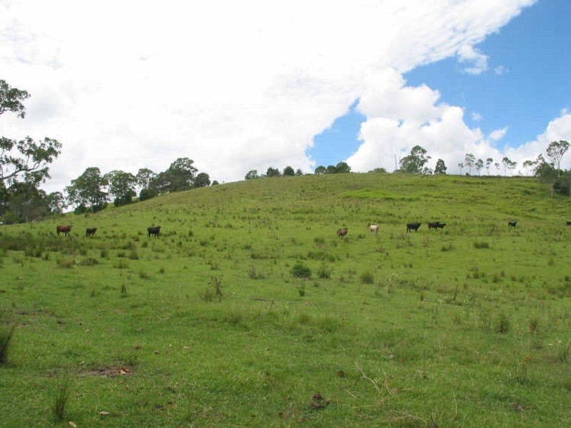 394. Skyline Road, Goonellabah NSW 2480