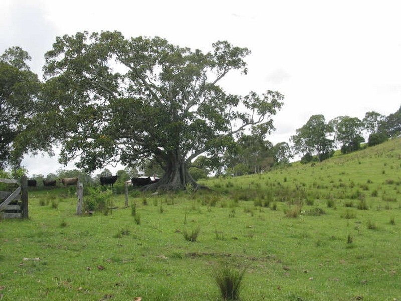 394. Skyline Road, Goonellabah NSW 2480