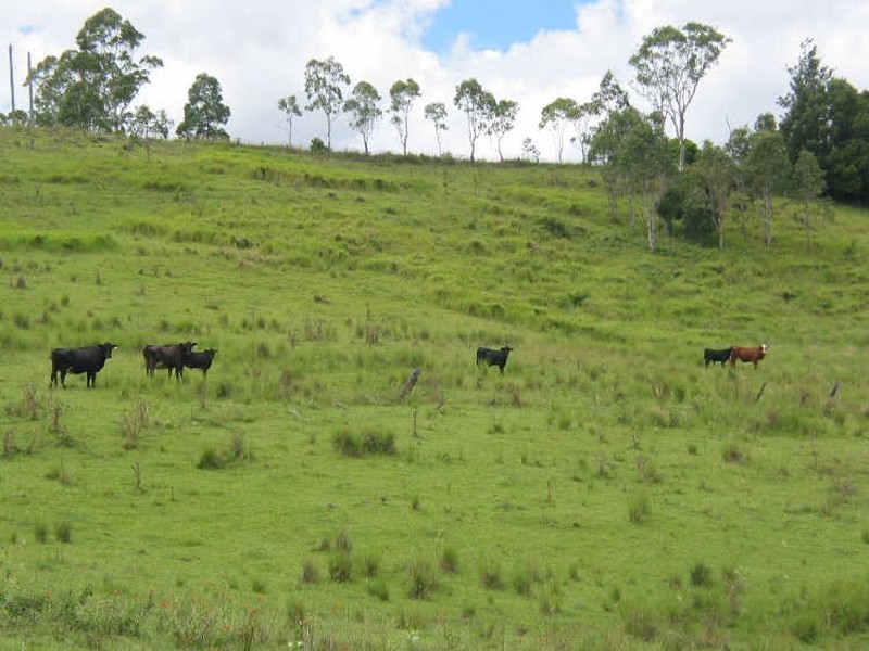 394. Skyline Road, Goonellabah NSW 2480