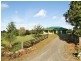 567. Humpty Back Road, Pearces Creek NSW 2477
