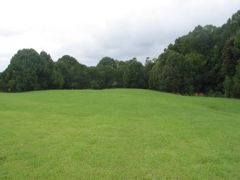 567. Humpty Back Road, Pearces Creek NSW 2477