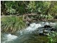 567. Humpty Back Road, Pearces Creek NSW 2477