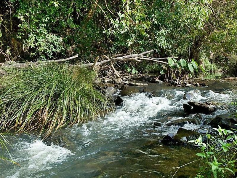 567. Humpty Back Road, Pearces Creek NSW 2477