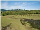 567. Humpty Back Road, Pearces Creek NSW 2477