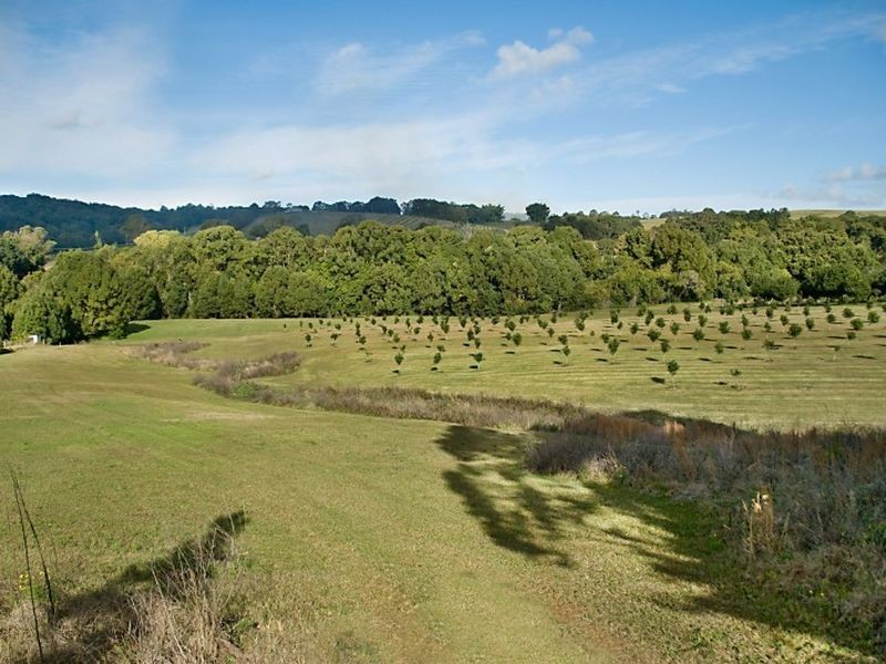 567. Humpty Back Road, Pearces Creek NSW 2477