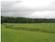 567. Humpty Back Road, Pearces Creek NSW 2477