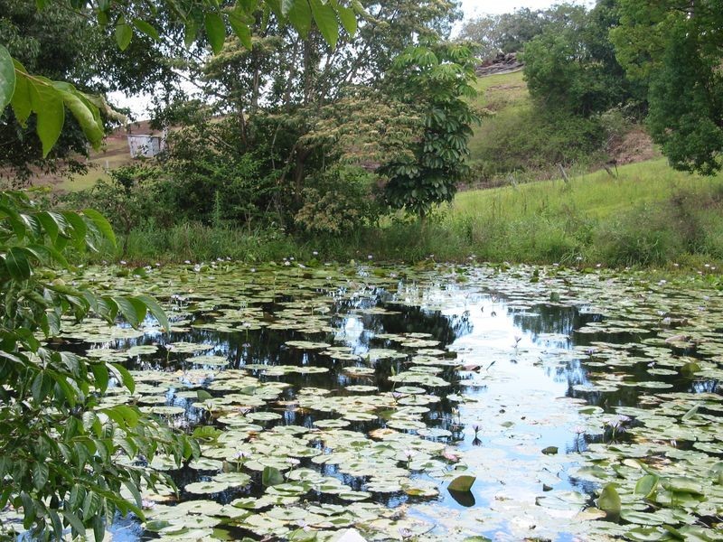 2. Daniel Roberts Drive, Mcleans Ridges NSW 2480