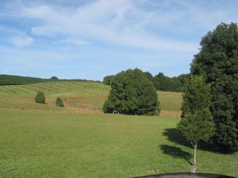 1122 Eltham Road, Pearces Creek NSW 2477