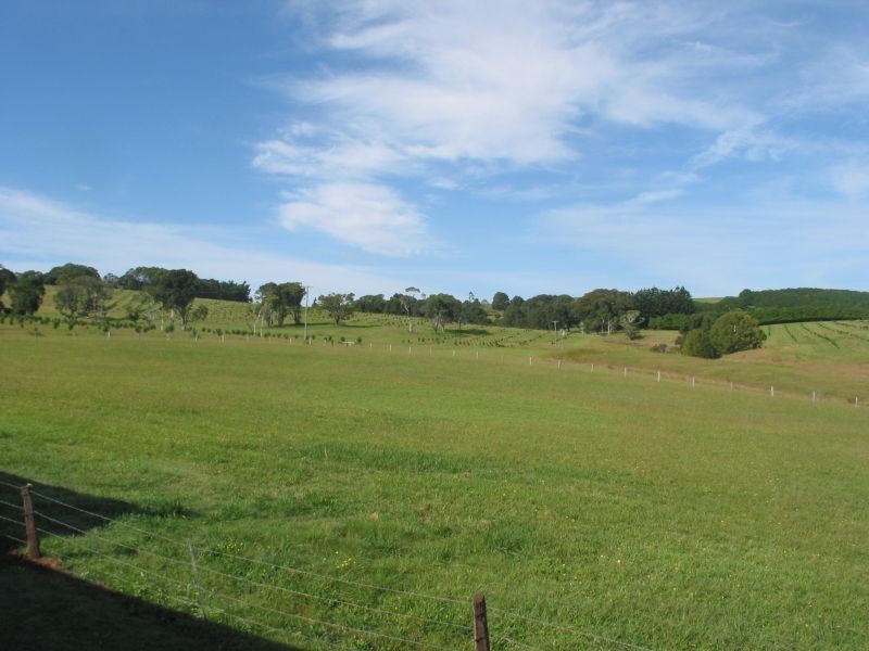 1122 Eltham Road, Pearces Creek NSW 2477