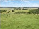 Lot 24 Bruxner Highway, Wollongbar NSW 2477