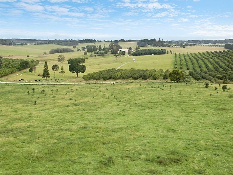 Lot 24 Bruxner Highway, Wollongbar NSW 2477