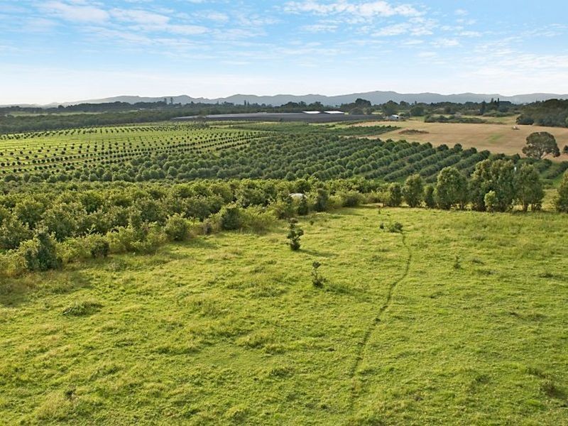 Lot 24 Bruxner Highway, Wollongbar NSW 2477